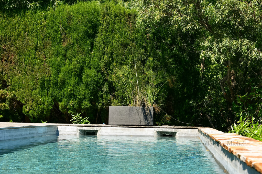 piscine chauffée villa Méditerranée gaou